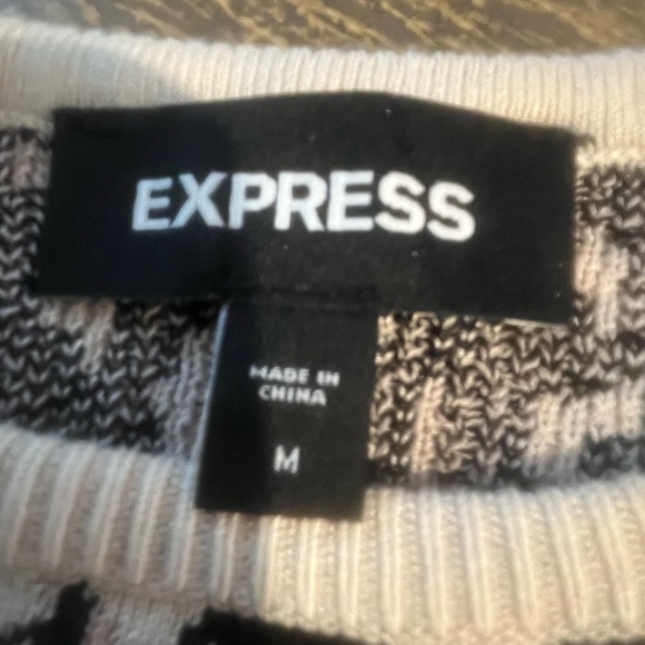 Express Size Medium lightweight sweater. - Picture 2 of 5